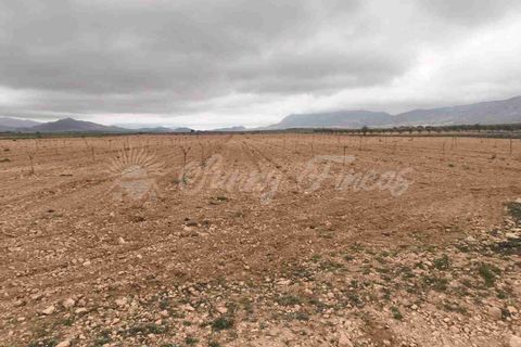 Helårsgrund i Yecla, Murcia, Yecla - € 47.000 | Ref: SF0566 - foto 11